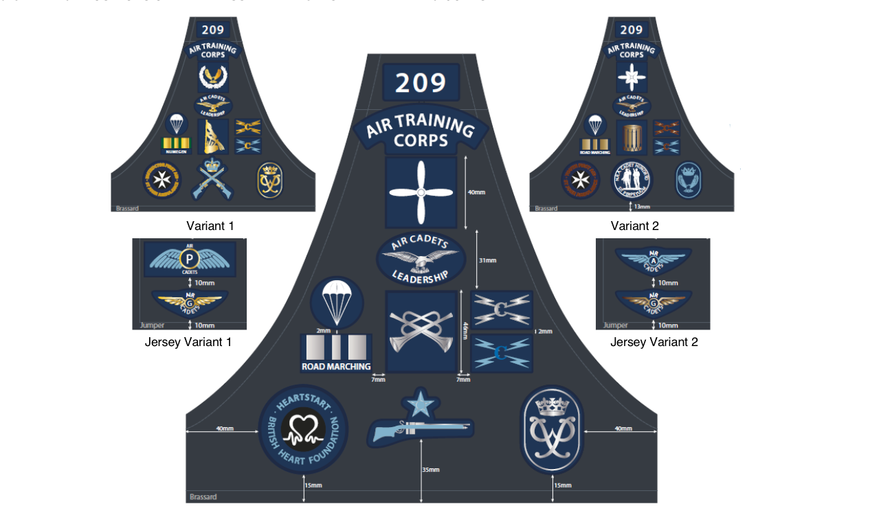 Air Training Corps Squadron ID Badges